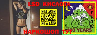 бошки Будённовск